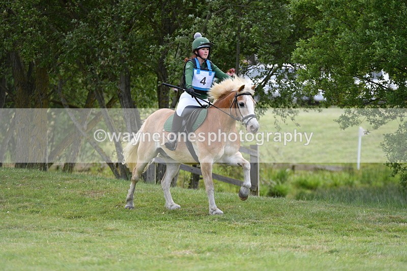 WJ5_2331 - Class 2 40cm