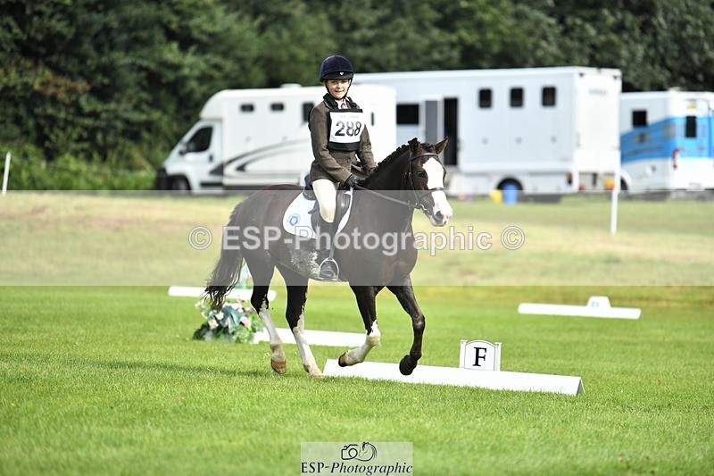 230826-100555-15362 - Sections C & D 9 to 10am