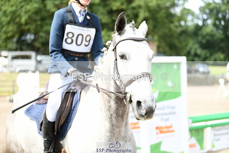 240825X-140123-34282 - 80cm SJ 12.45 to 14.00