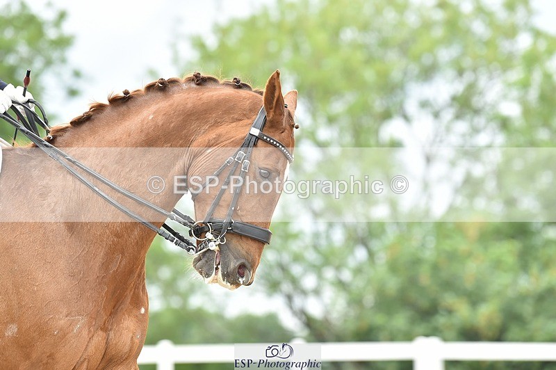 250622-150906-16307 - Cls 59 FEI PSG Inc Presentations