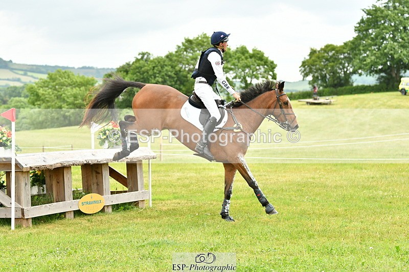 250524A-160748-14742 - C-258-Bill.Levett-ITALIAN.HARLEQUIN.NJ