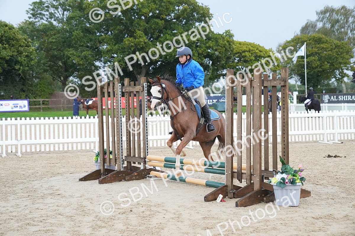 SBM_00196 - J53 - Clear Round 40cm