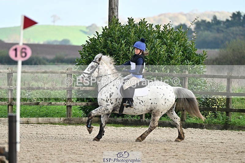 241110-133253-00866 - 60-65cm Arena Eventing