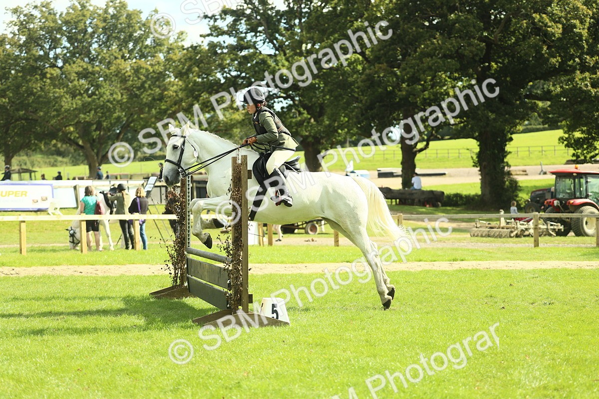SBM_48040 - S32 - Novice & Newcomers Working Hunter