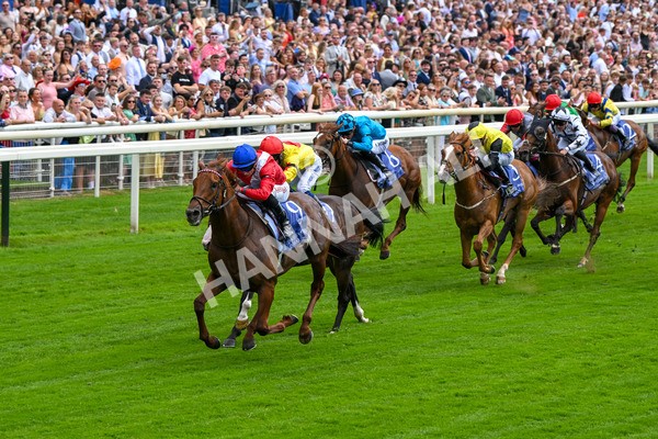 280625-Race 1-Archivist-9943 - Race 1 1.55pm Al Basti Equiworld Dubai Mile Handicap