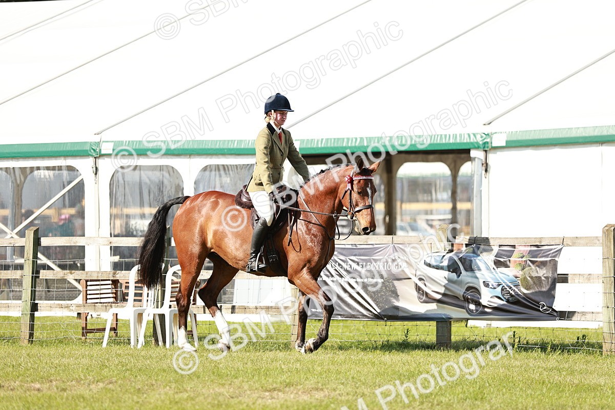 SBM_19217 - Class 115-116 - LIHS BSHA Rising Star Working Hunter & Show Horse