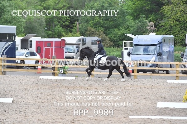 BPP_9989 - SHORT ARENA  MY QUEST PRELIM