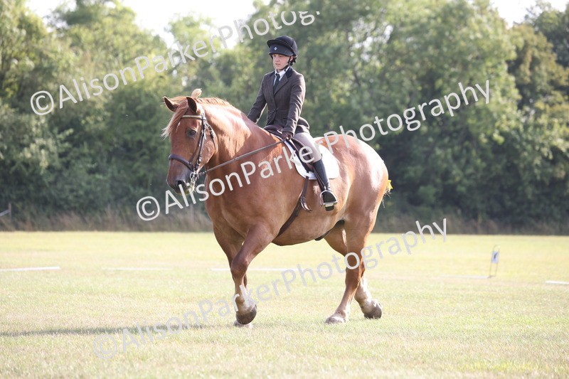 20250731-0570 - Class 1 - Intro 4