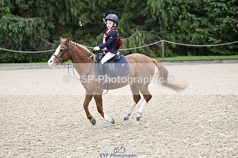 251005A-083340-02819 - Cls 01 GR 40cm