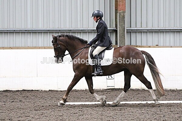 SIAL5037 - CAbin Dressage 5th july 2025