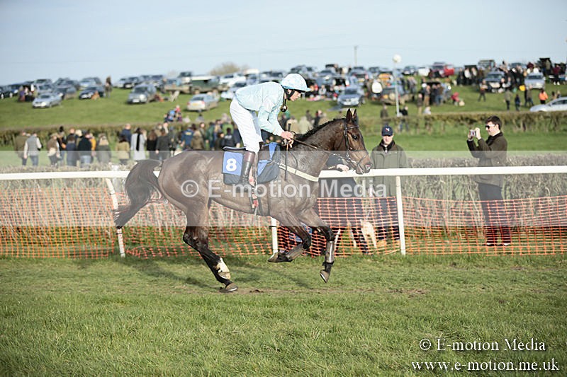 PtP 230319 531 - VWH Hunt Siddington Point-to-Point Racing 23/03/19