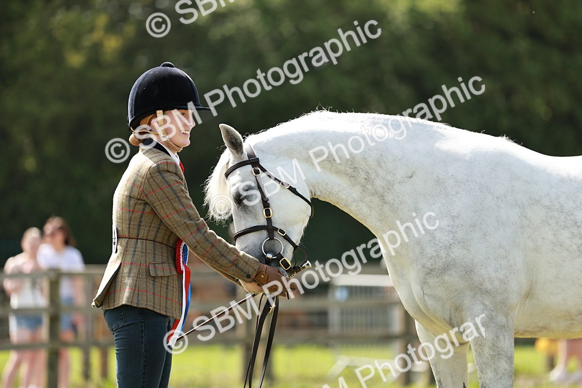 SBM_02508 - Class 14-23 - Mountain & Moorland In Hand Non Welsh