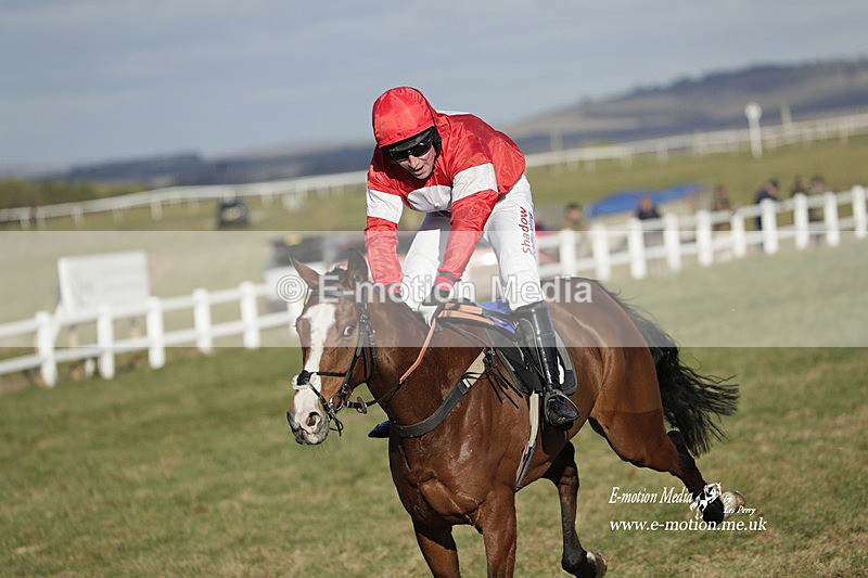 PtP 260223 1199 - South & West Wilts Point-to-Point Larkhill 26/02/23