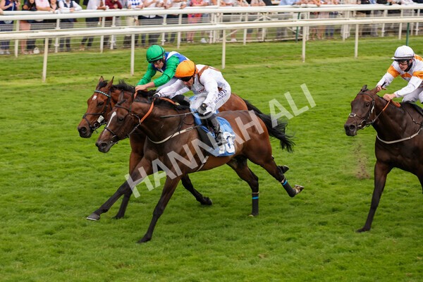 yr23072021r5-19 - Race 5 8.00pm Gallop Racing Stakes