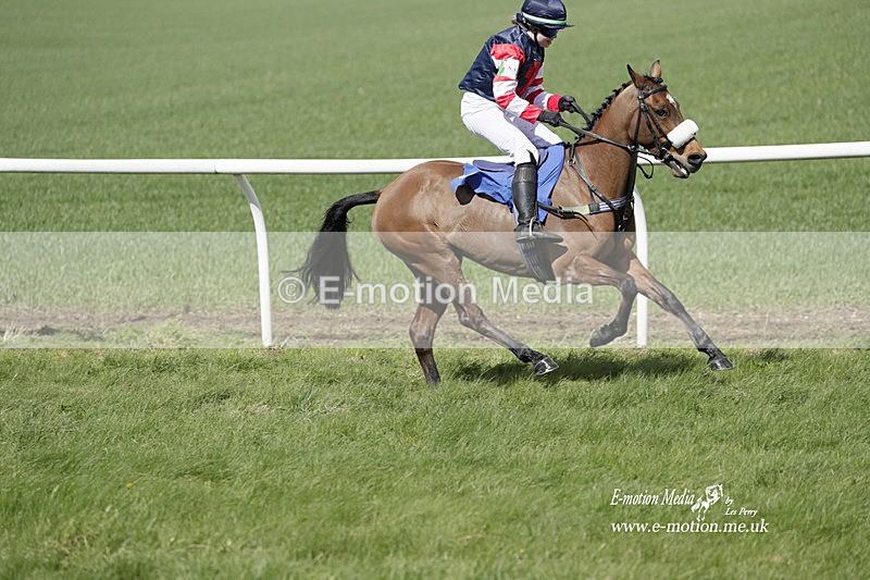 PtP PR 100423 238 - Pony Racing Lockinge 100423