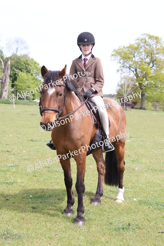 20260426-3004 - Class 33 - Best Pony 14.2hh and Under