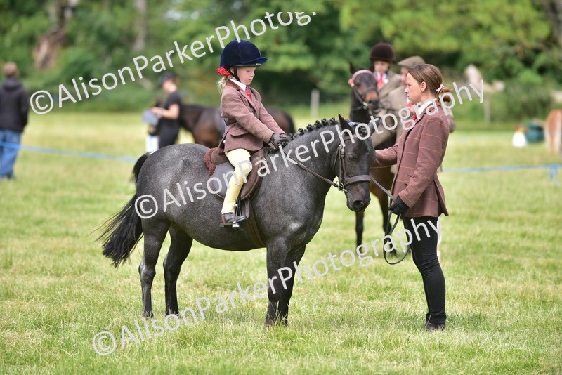 20260614-1385 - Class 11b - Lead Rein Pony (Plaited)