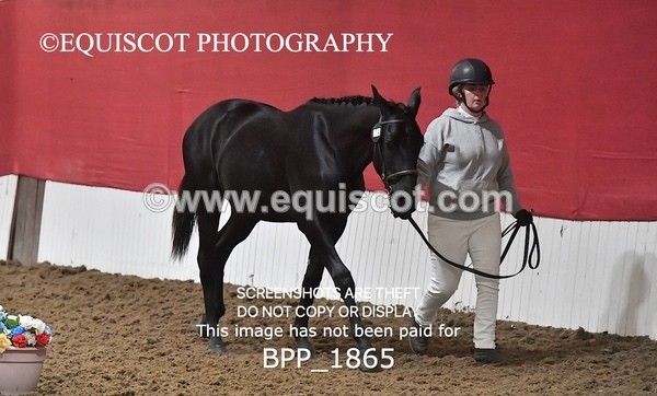 BPP_1865 - AFTERNOON 12.30 - 3.30PM