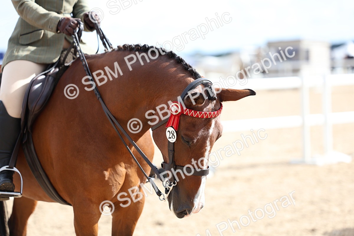 SBM_10063 - Class 304 - Ridden Part Bred Horse Pony