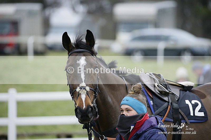 PtP 220122 398 - Royal Artillery Hunt Point-to-Point  - Larkhill Racecourse 22/01/22
