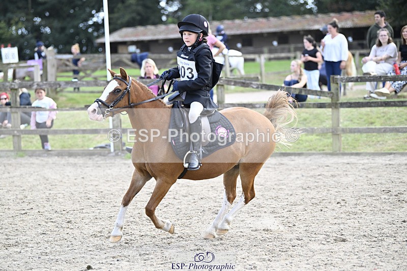 240822X-160758-12190 - 40cm A R2 15.00 to 16.16