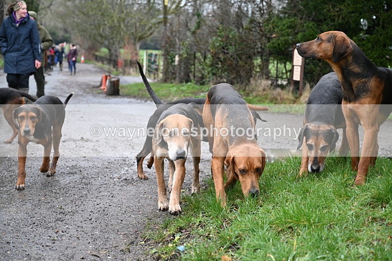 WJ7_9372 - Walk out..