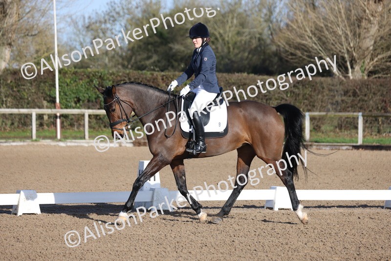 20260128-0203 - Class 3 - Novice 4