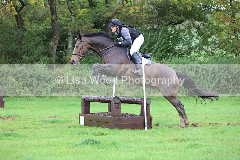 JPP_5451 - Class 4: 80cm: Crossed Logs