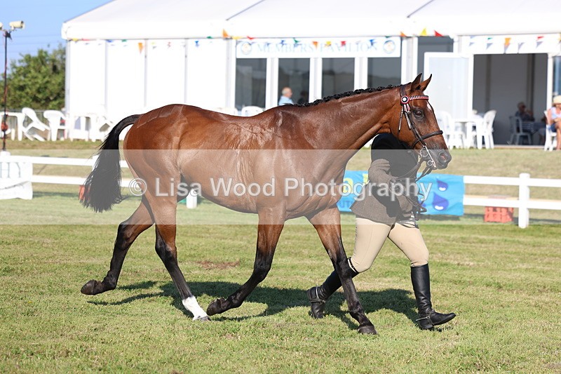 3E7A5167 - Class 1: Rising Star Small Hack/Riding Horses