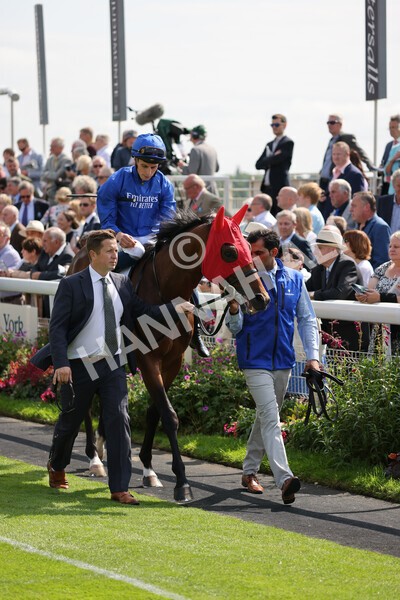 yr18082021r3-20 - Race 3 3.00pm Sky Bet Great Voltigeur Stakes