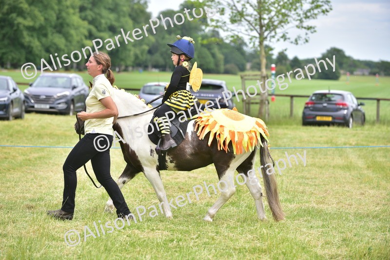 20260614-3275 - Class 14 - Fancy Dress