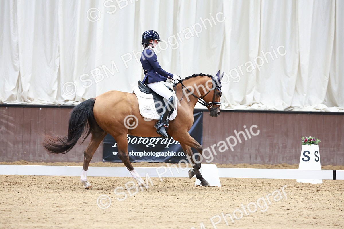 SBM_017279 - Class15 - FEI Pony
