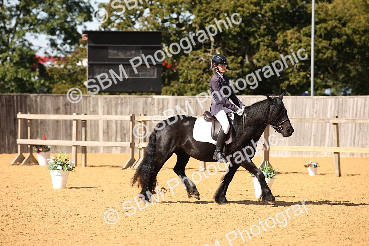 SBM_24167 - D5 - Small Tour Championship - Intro C