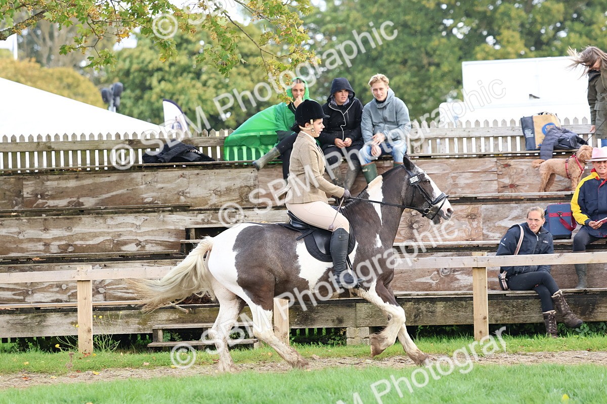 SBM_47647 - S28 - Veteran Ridden