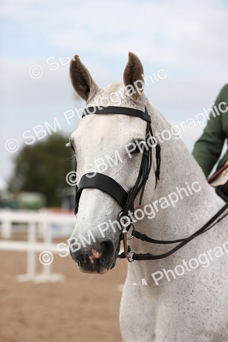 SBM_16732 - Class 214 Ridden Cob