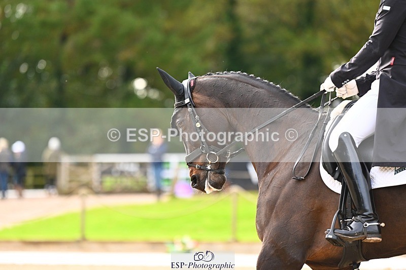 231021-135241-17723 - 351-MOONLIGHT.CHARMER-Aaron.Millar-DR