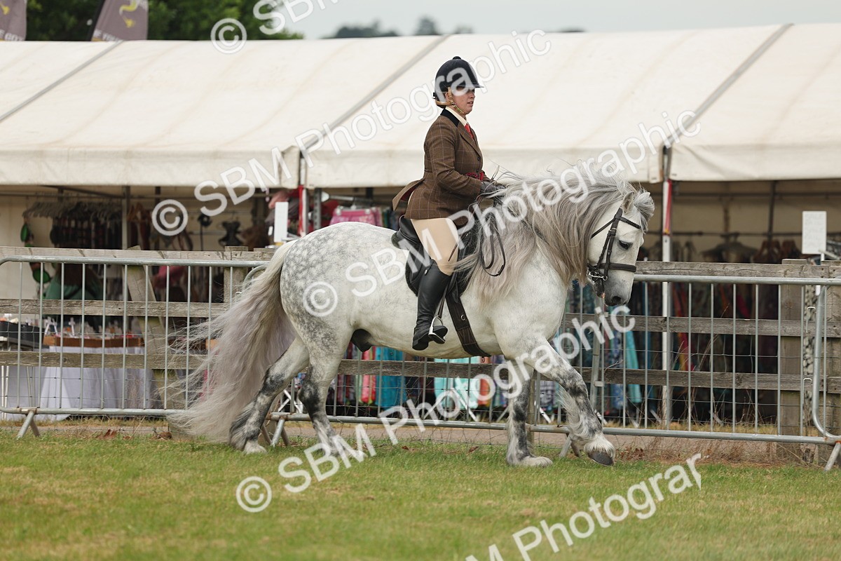 SBM_09111 - Class 78-80 - Ridden M&M Non Welsh Ponies