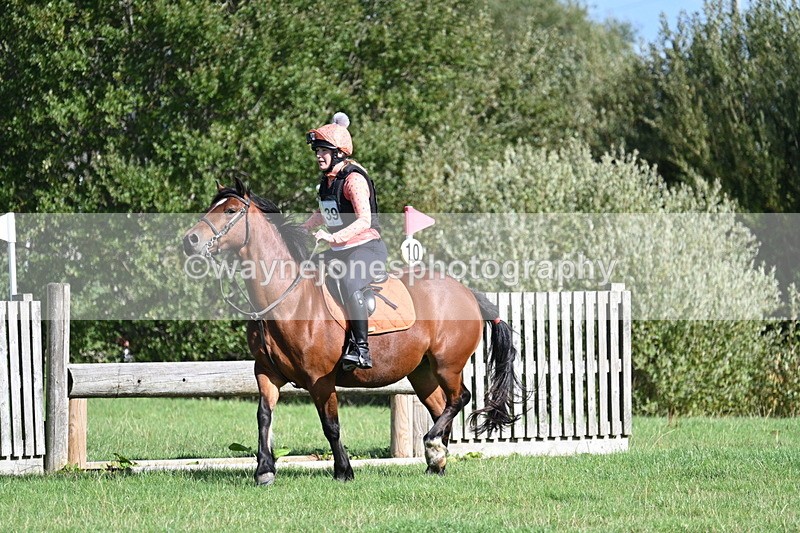 WJ7_1329 - Time 13:56 to 14:24