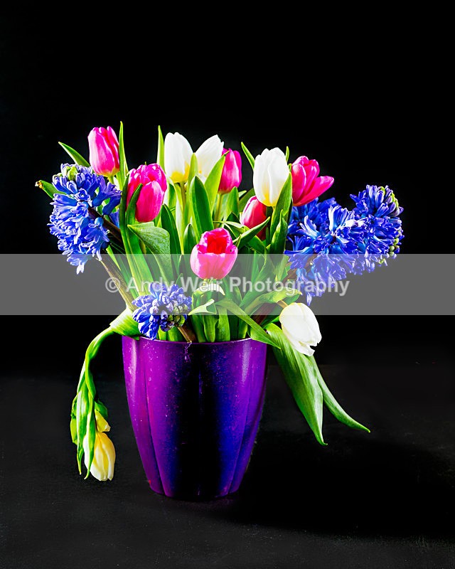 And one wilted - Plants & Flowers