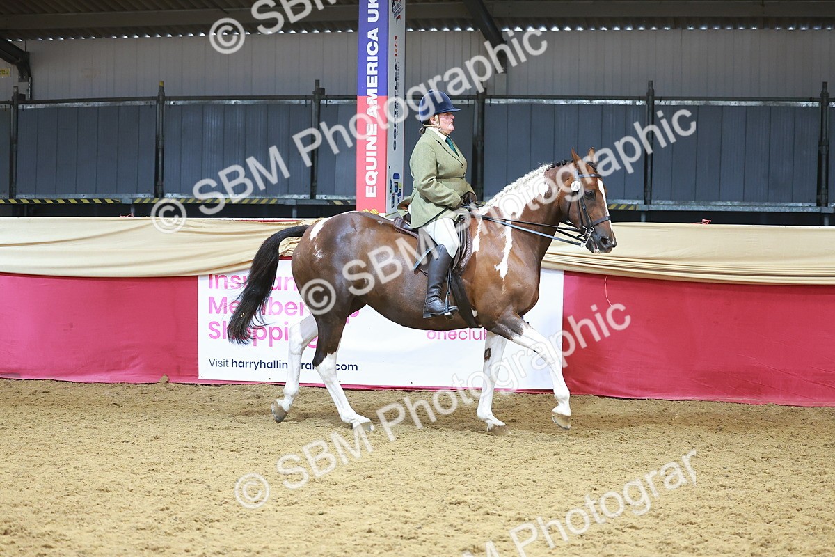 SBM_12462 - Class 103 - HOYS Veteran Qualifier - Ridden Pre Vet
