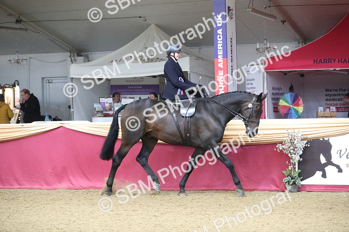 SBM_10474 - Class 102 Equitation (best rider) Adult