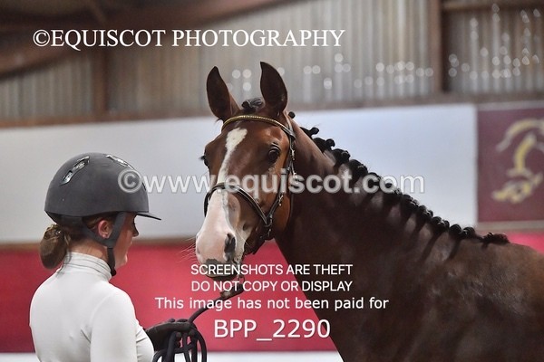 BPP_2290 - AFTERNOON 12.30 - 3.30PM