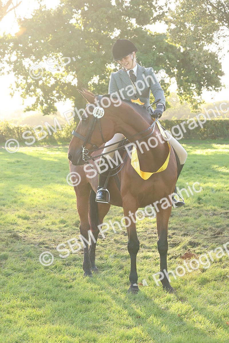 SBM_53098 - S29 - Mature Veteran Ridden