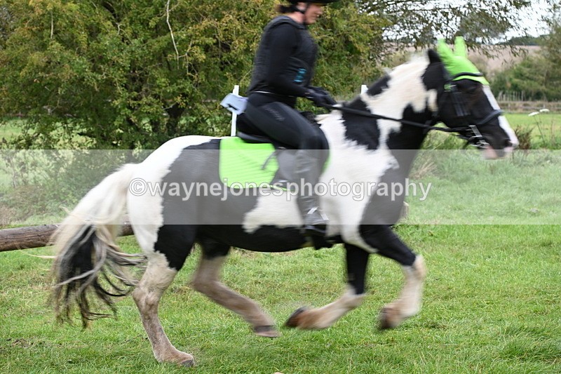 WJ6_7062 - Time at Photographer 13:06 to 13:23