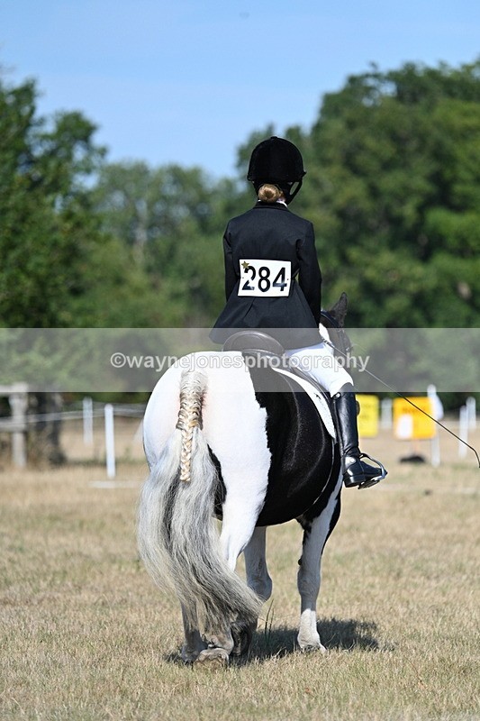 WJ7_9423 - Time 10:08 to 10:13