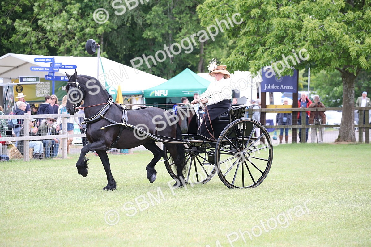 SBM_05802 - Class 12-15 - HOYS Private Driving