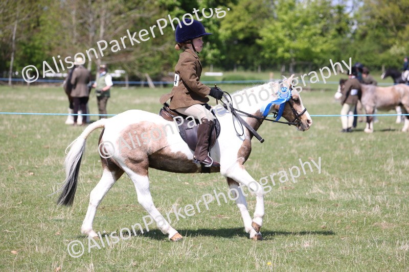 20250427-3316 - Class 33 - Best Pony 14.2hh and Under