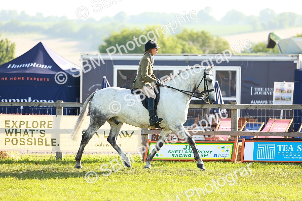SBM_10721 - Class 66-69 - RIHS Ridden Hunters Inc Small Hunter