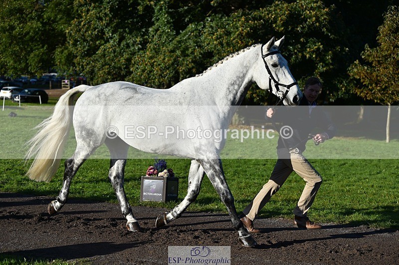 231022-094808-22035 - 463-HOLOGRAM.SCAIS-Chris.Brentnall-TrotUp+SJ