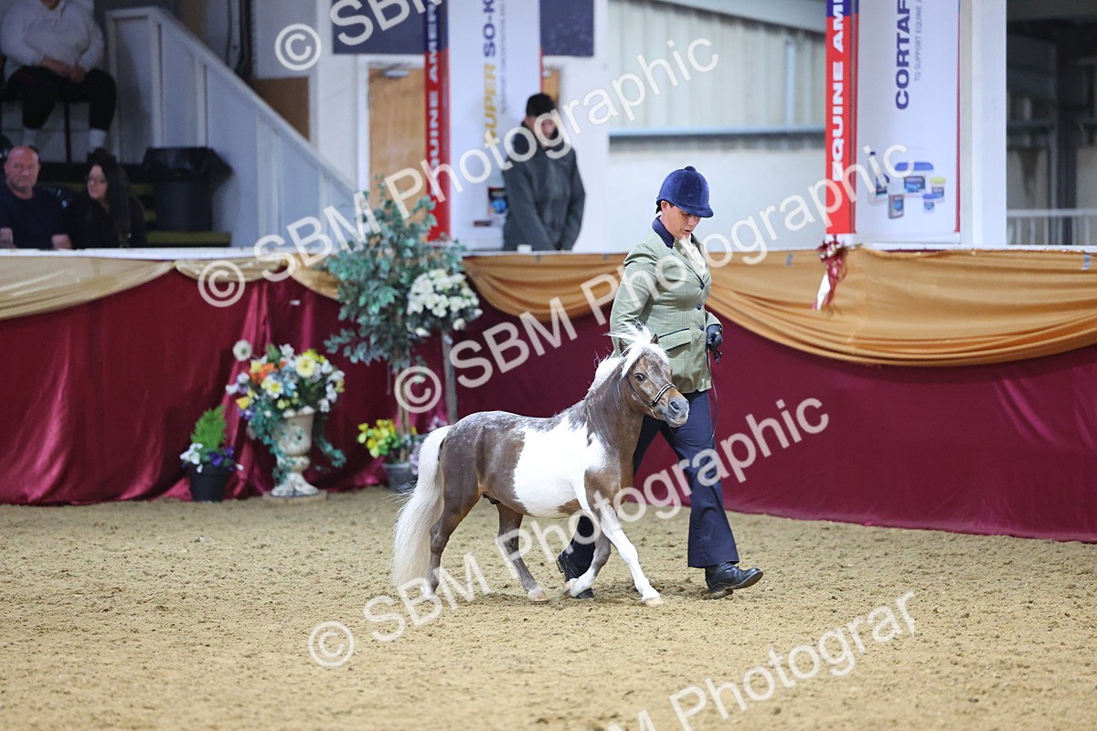 SBM_22812 - Class 903 - Supreme Final - IH Pre Vet